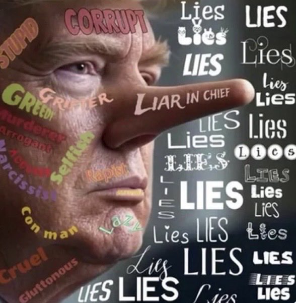 Suzie rizzio tweet media