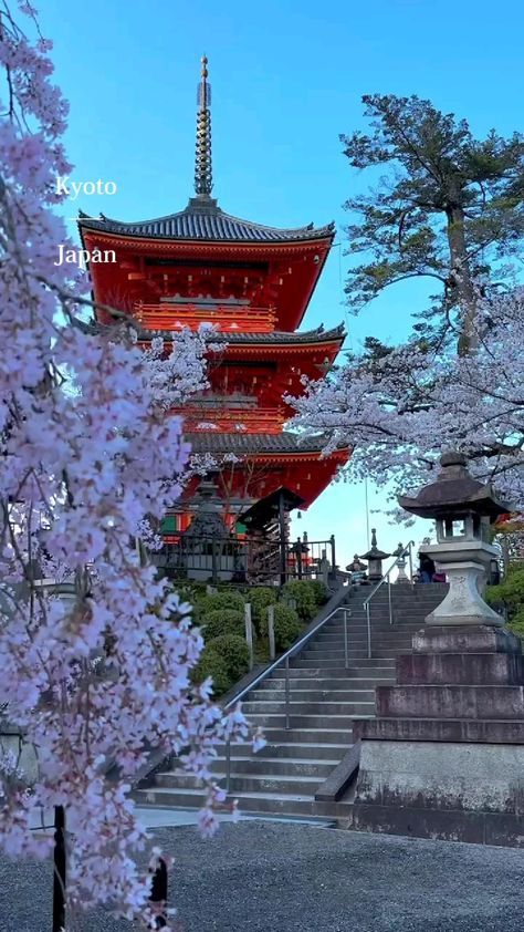 Beautiful world 🌍 tweet media