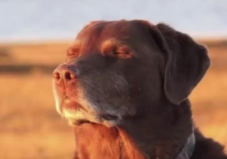 Big Dave💵 tweet media