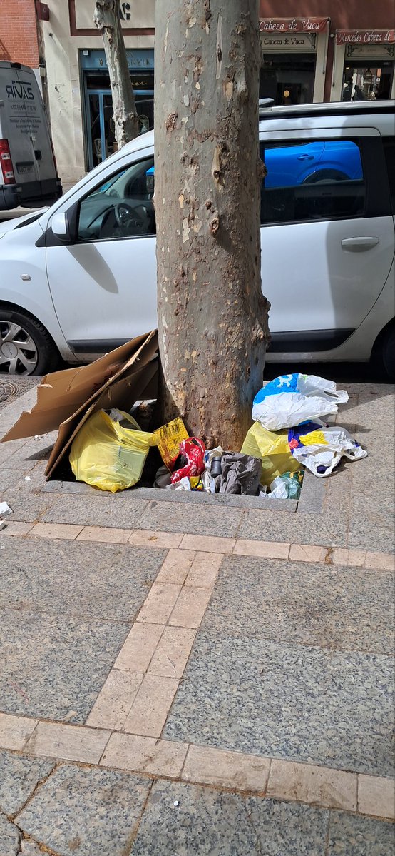 SOS SOL Y LETRAS tweet media