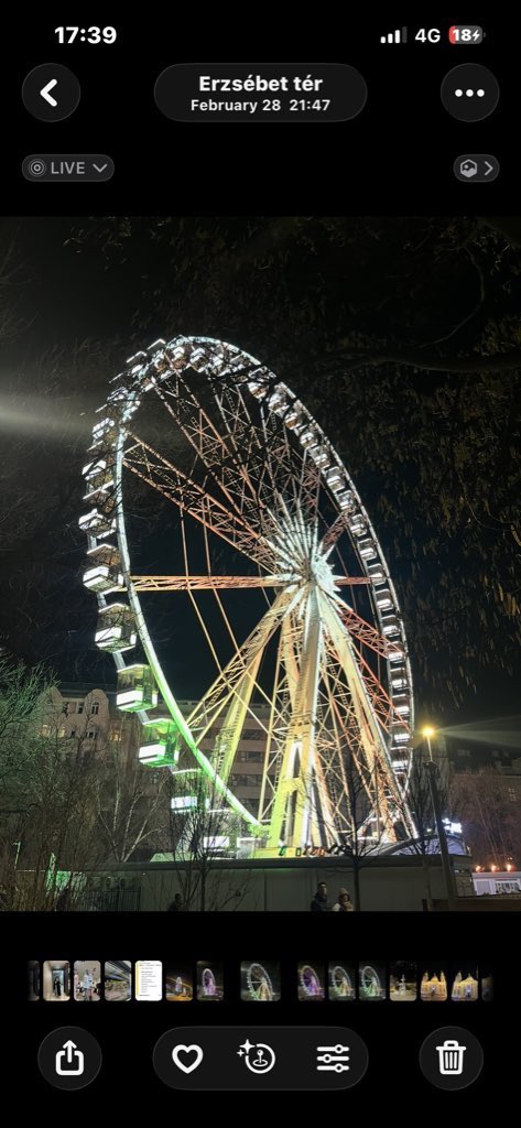 yaren🪩 tweet media