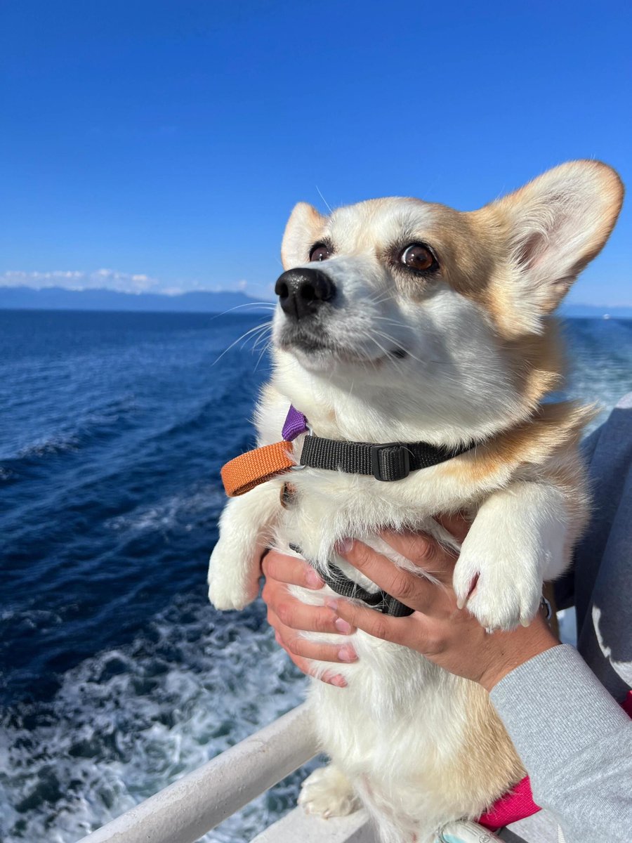 Igor Kuzle tweet media