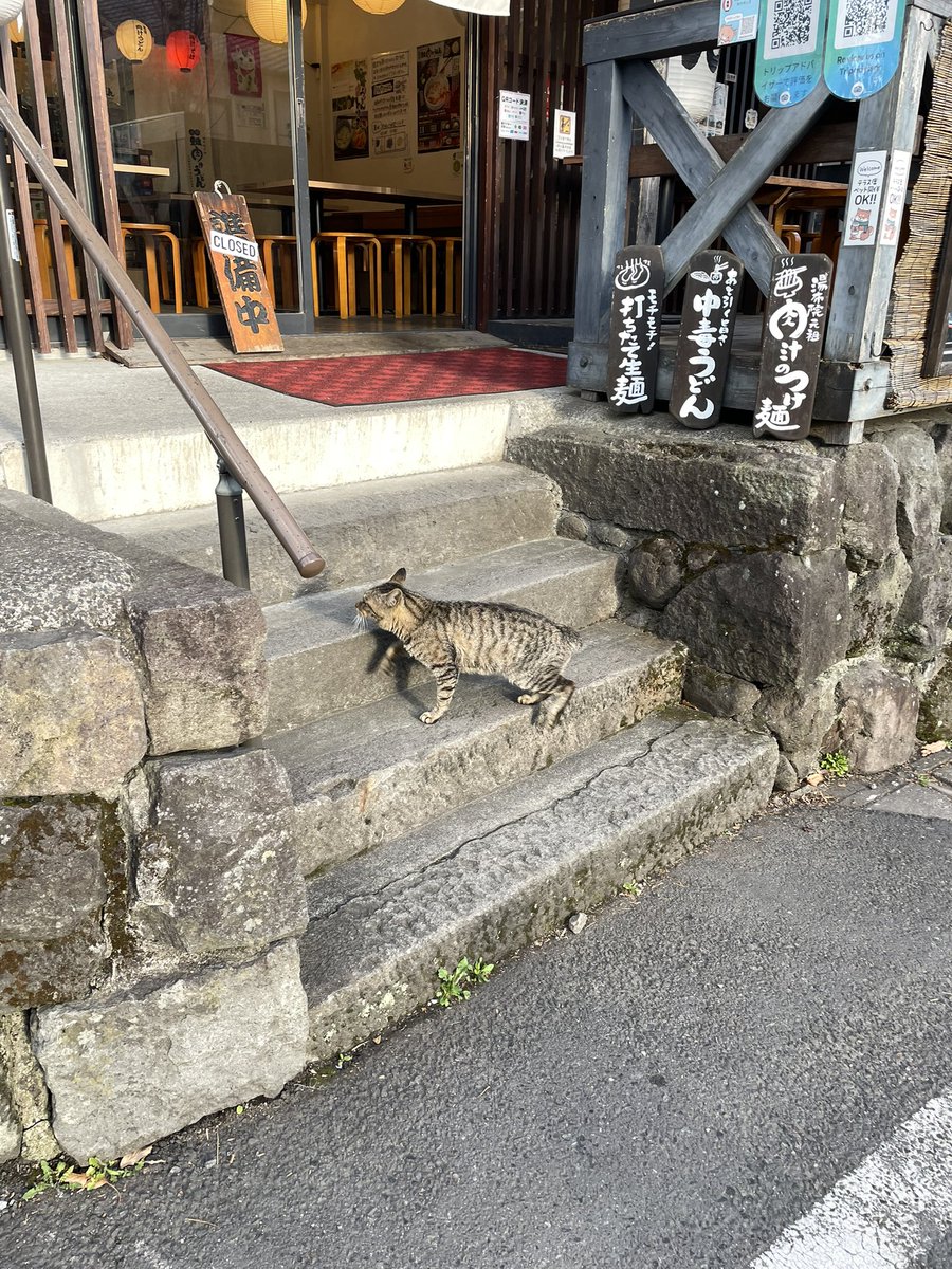 peachyt04's tweet image. no peachy media, just japan #sorrynotsorry