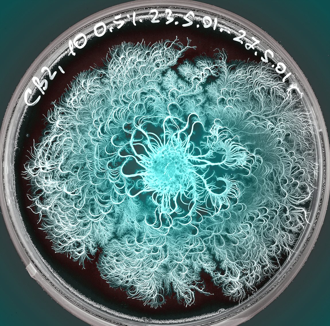 Big Bang Science tweet media