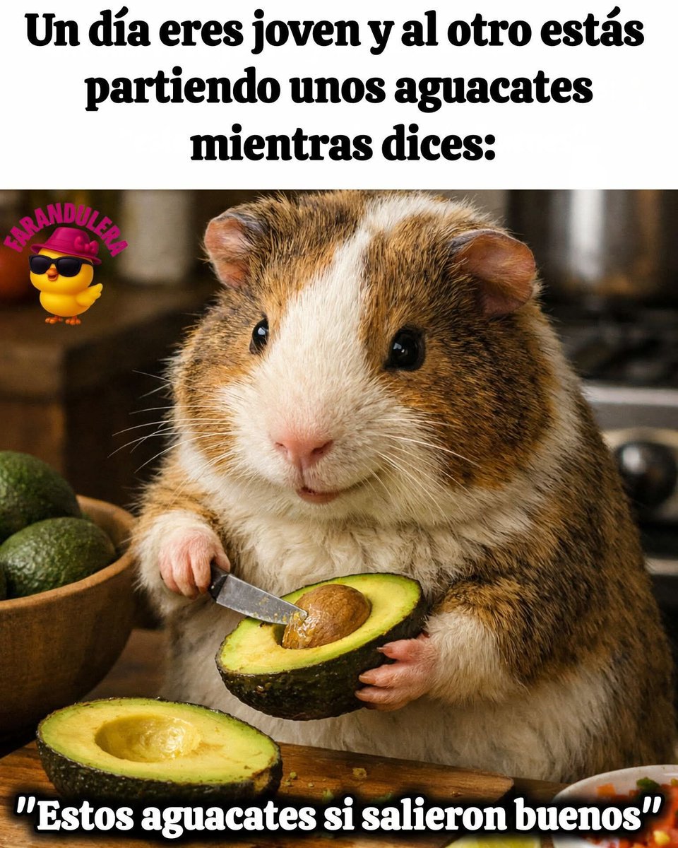 Rincón Curioso tweet media