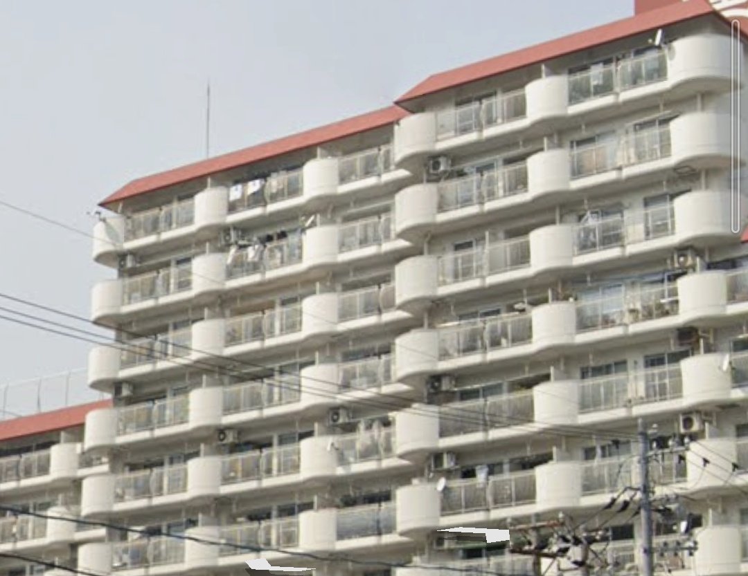 あかき😎💚♻🕊 tweet media