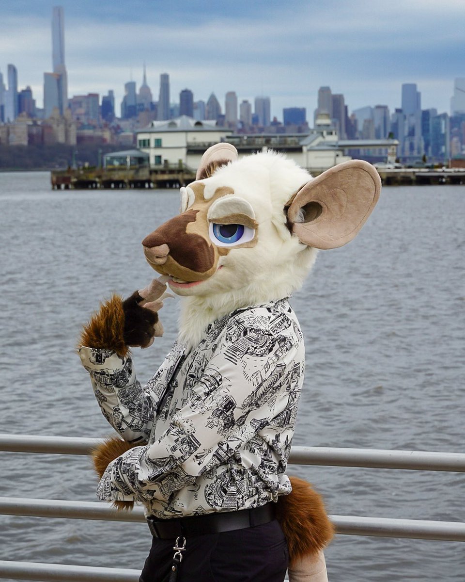 furthèque ☕️ tweet media