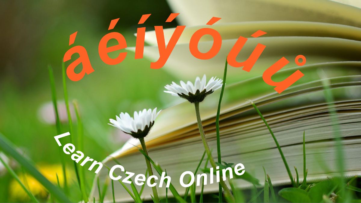 Czech Centre London tweet media