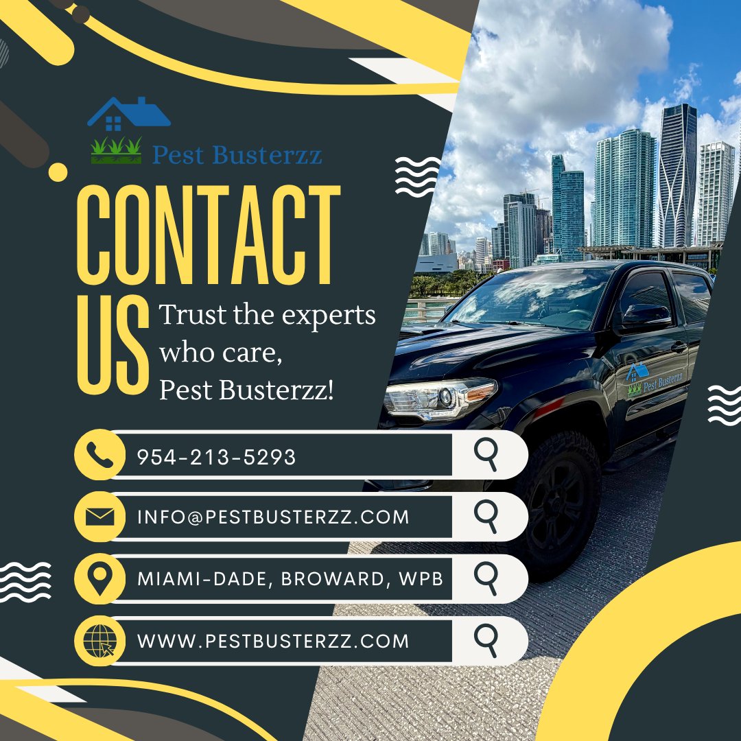 pest_busterzz's tweet image. 🌿💚 Keep your home healthy and pest-free with Pest Busterzz — your local organic pest control experts! 🐜🏡 Safe for families, pets, and the planet. Call Pest Busterzz today for eco-friendly protection that lasts! ✨ #PestBusterzz #OrganicPestControl #PestFreeLiving