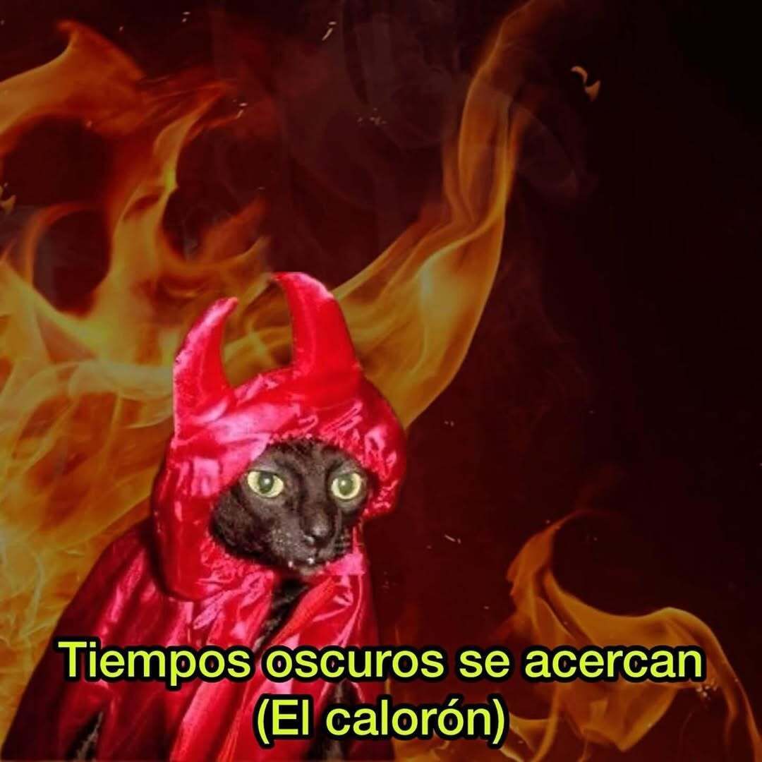 MUNDO MORBIDO tweet media