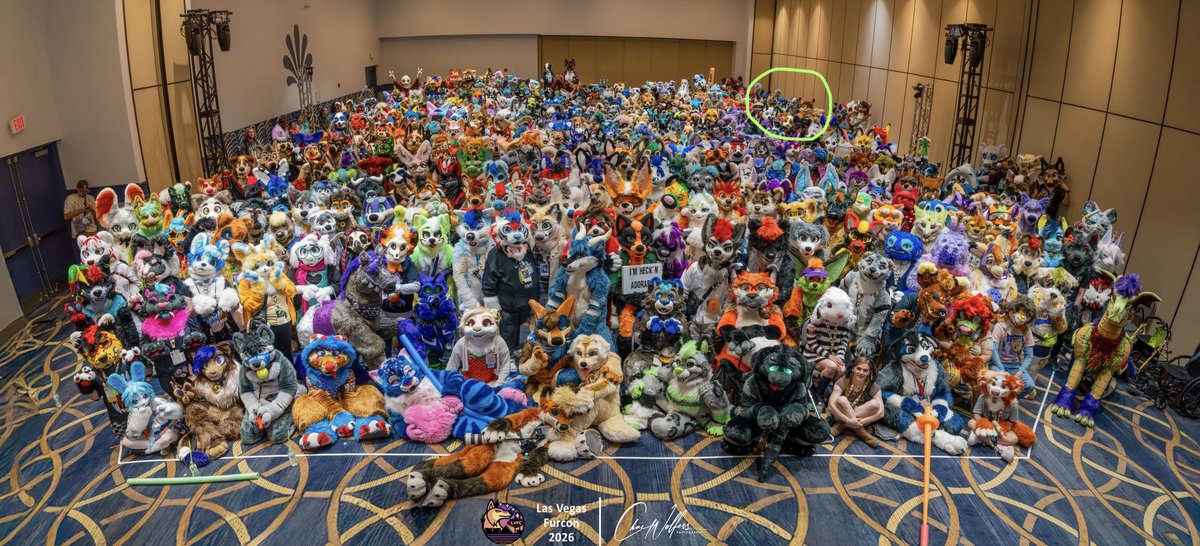 ❄️Selinar Snowcat❄️🔜LVFC tweet media