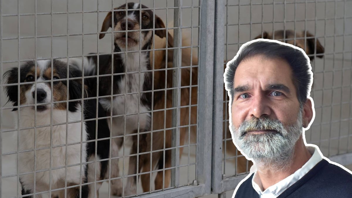 Nordkurier tweet media