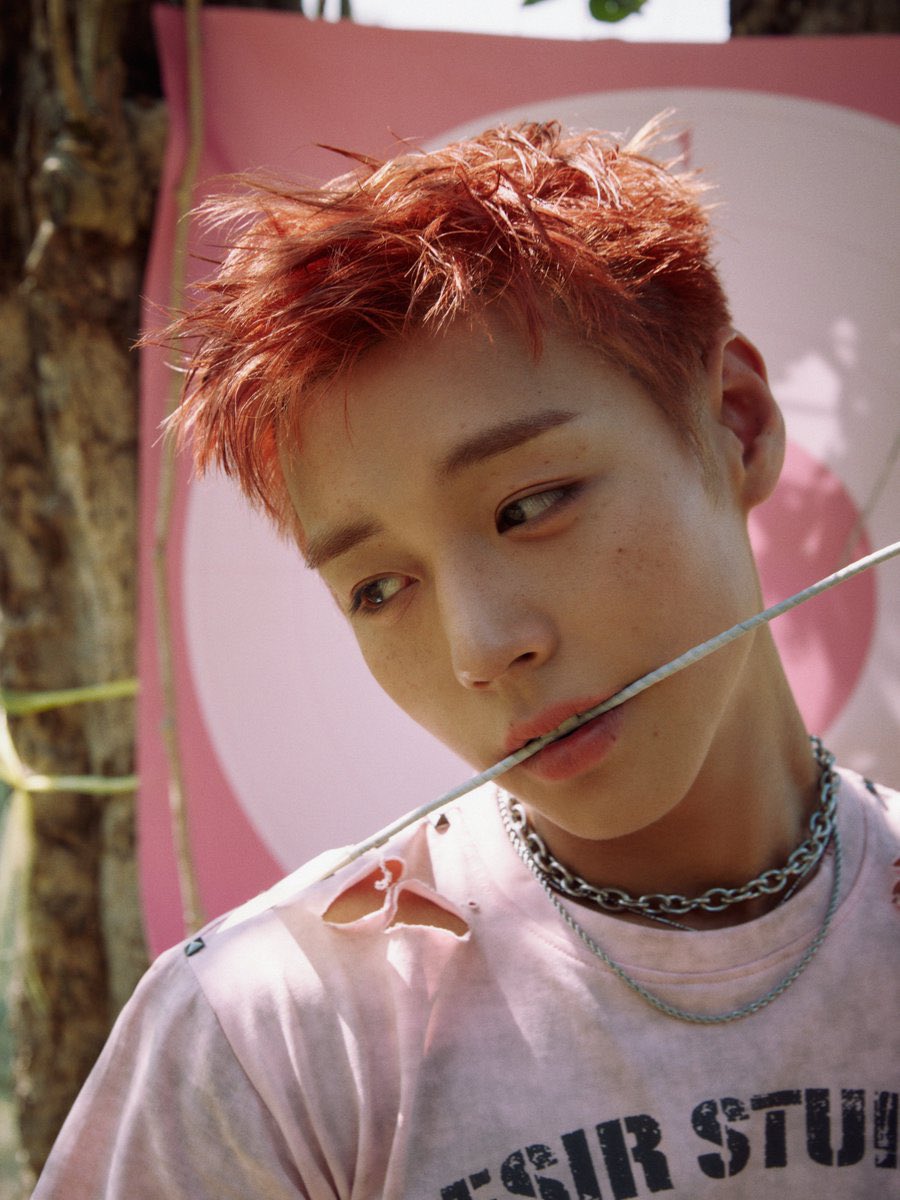 V๐โโฌ tweet media