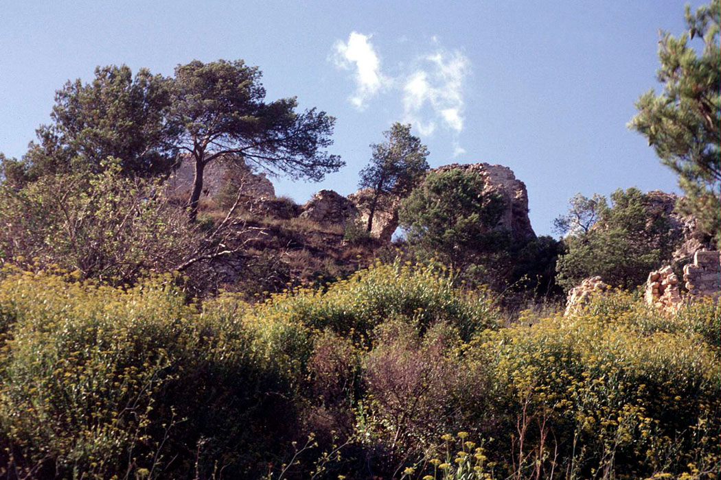 _Gran_Maestre's tweet image. Comanda de Selma ✠

La comanda de Selma fou concedida als templers al segle XII, que hi establiren un centre de domini feudal sobre el territori. Després de la dissolució del Temple el 1312, passà a l’Orde de l’Hospital. 

#Templers #HistoriaDeCatalunya #Patrimoni #Catalunya