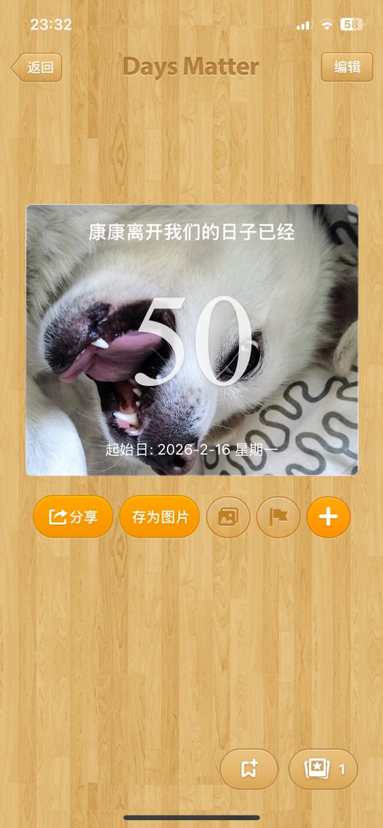 Shun11769's tweet photo. 康宝，今年是你跟哥哥分离的第50天，前天是你的「七七」，好快啊。转眼哥哥带你跨城市溜达一圈回来都四天了。咱们家外面的树也开始绿了，花也开始开了，你要是还在，哥哥就给你穿上那件小红袄，把你抱进小车里，推你出去吹吹风，看看你本应迎接的第15个春天。 https://t.co/D8bq8c0ehG