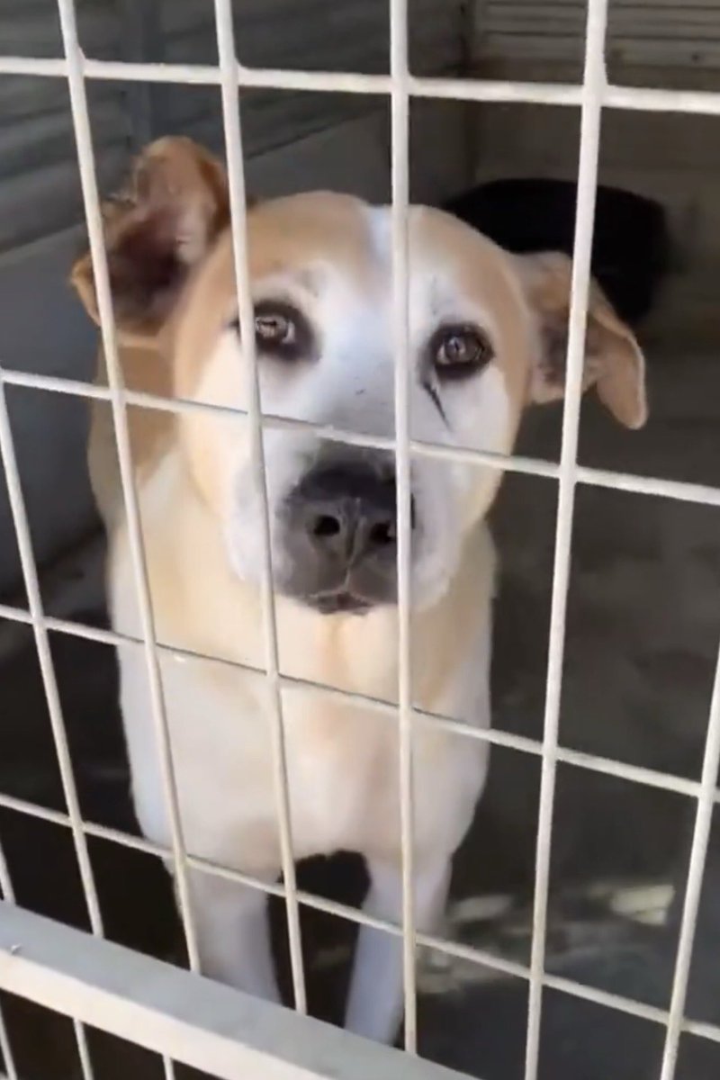 Ana Di Zacco tweet media