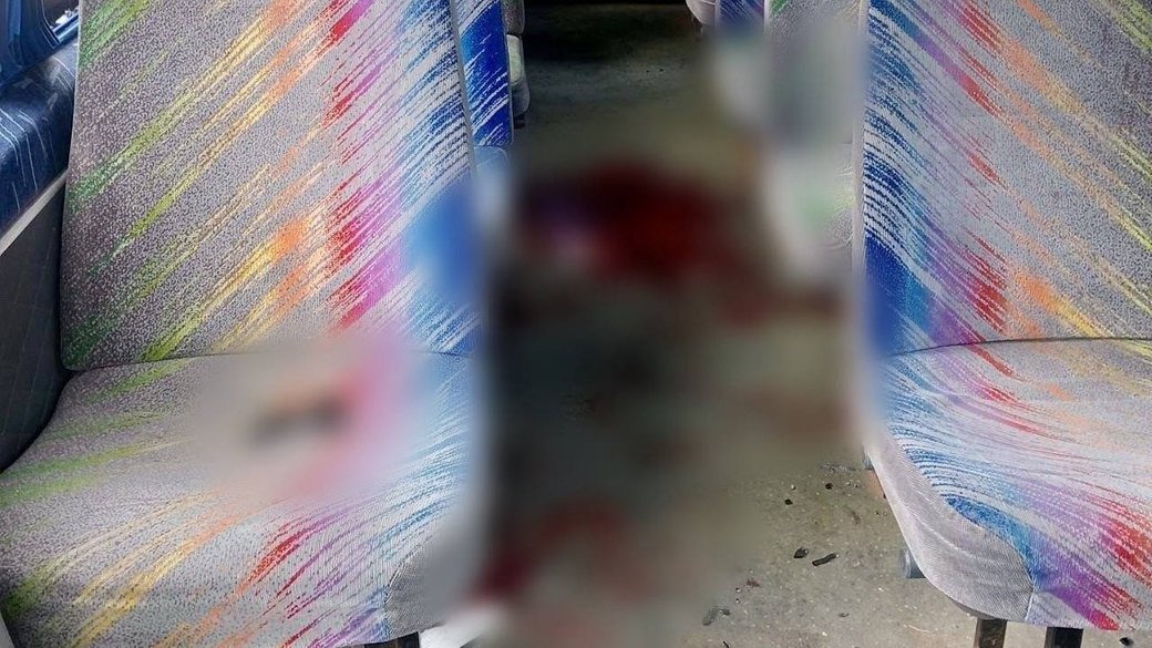 Anfisa Motora tweet media