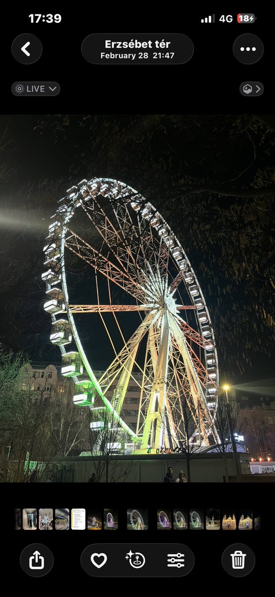 yaren🪩 tweet media