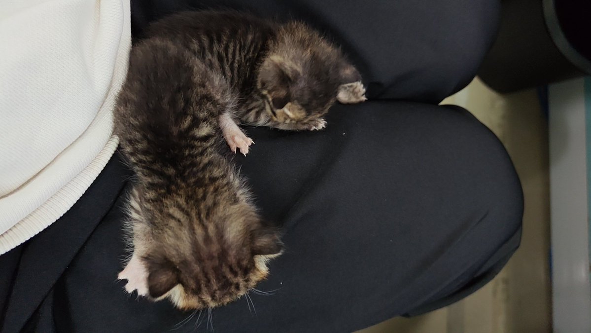 二᳐哈੭ tweet media