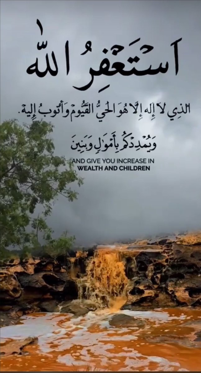 ضيف الشيباني tweet media