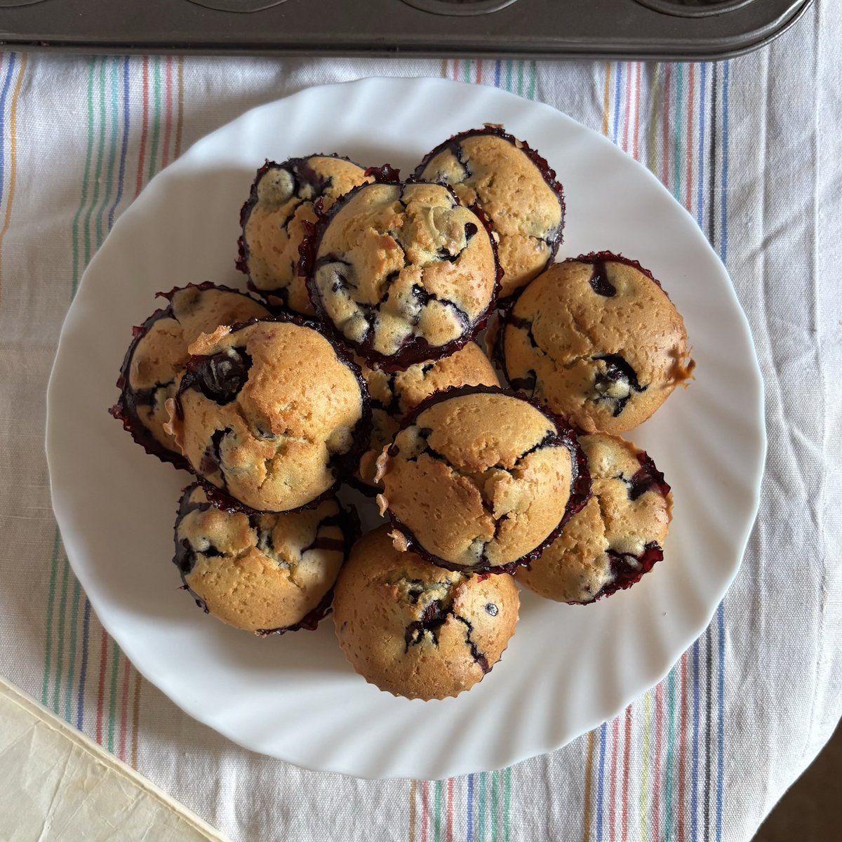 sunny .ᐟ tweet media