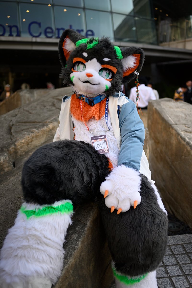 리무리(リムリ)➡️furstclass tweet media