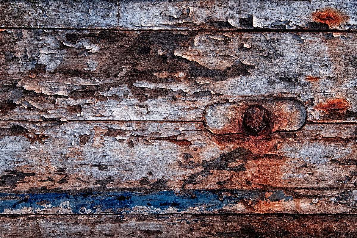 Sam_Alexandra23's tweet image. Good day Gang!  Yes, it's #Texture Tuesday so let's see you captures of textures that absolutely fill the whole frame, leaving no space for anything else. Have a terrific day out there and keep safe. #Photography #Nature #Manmade 📸😊