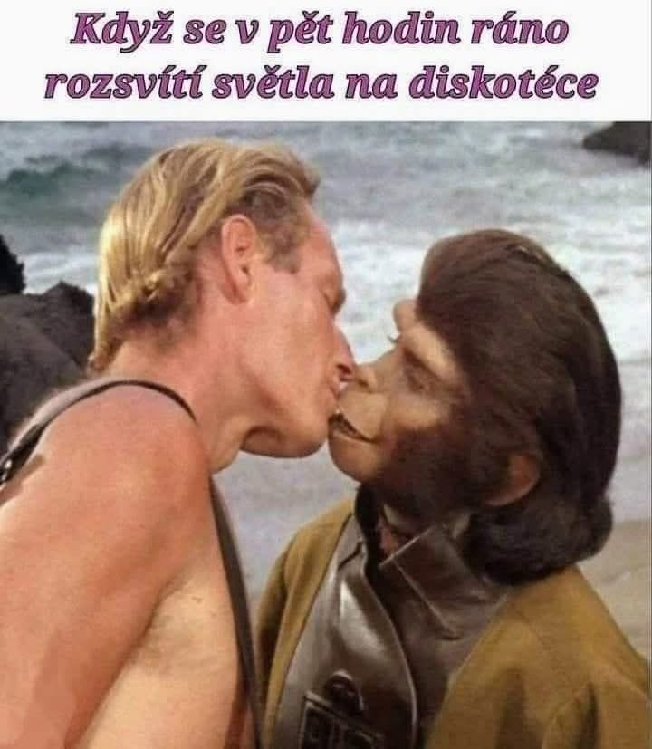 Princezna Zubejda 🇨🇿 🇮🇱 🇭🇺 tweet media