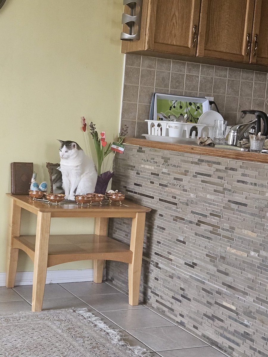 Kassie AF tweet media