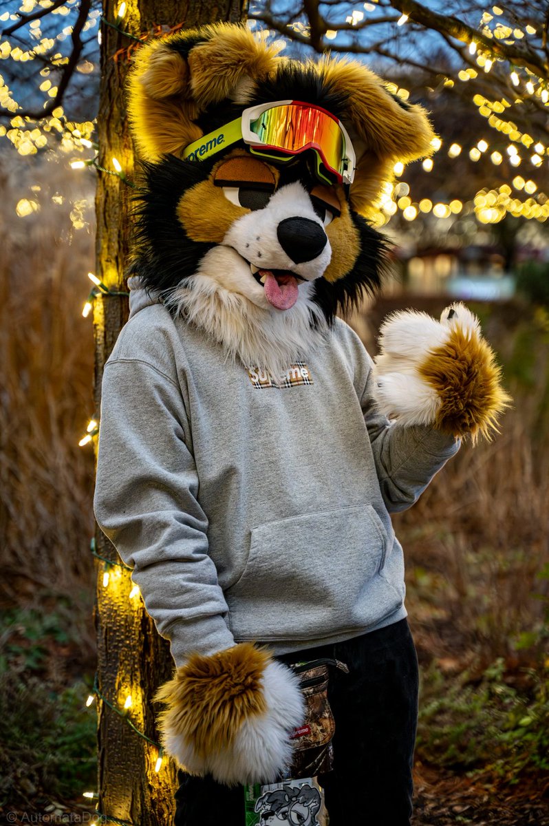 norf 🫠 tweet media