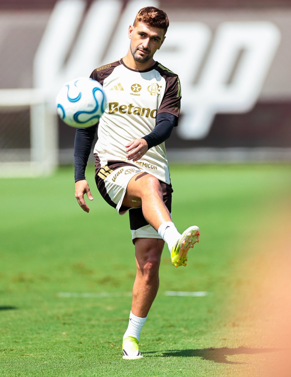 acervo arrasca tweet media