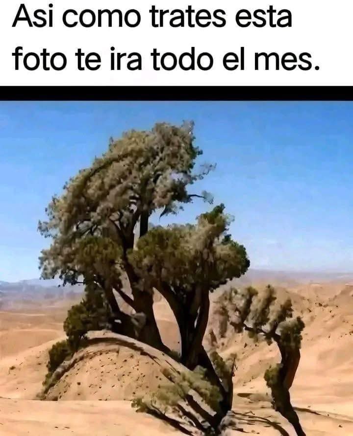 El Meme (@memessv7) on Twitter photo 