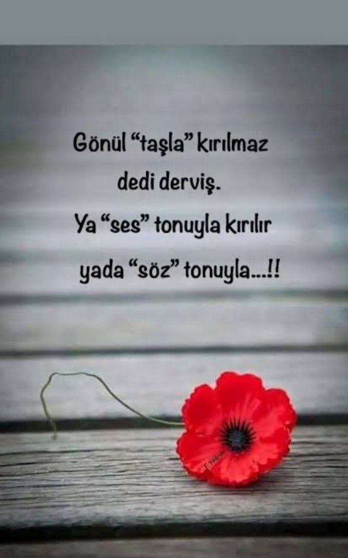 nvbahar's tweet photo. https://t.co/wiomkTc6jP
