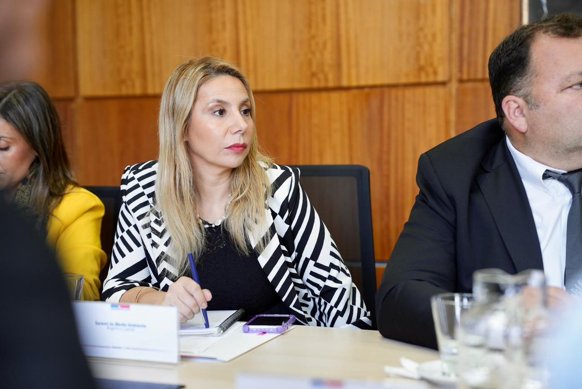 Seremi del Medio Ambiente Ñuble tweet media