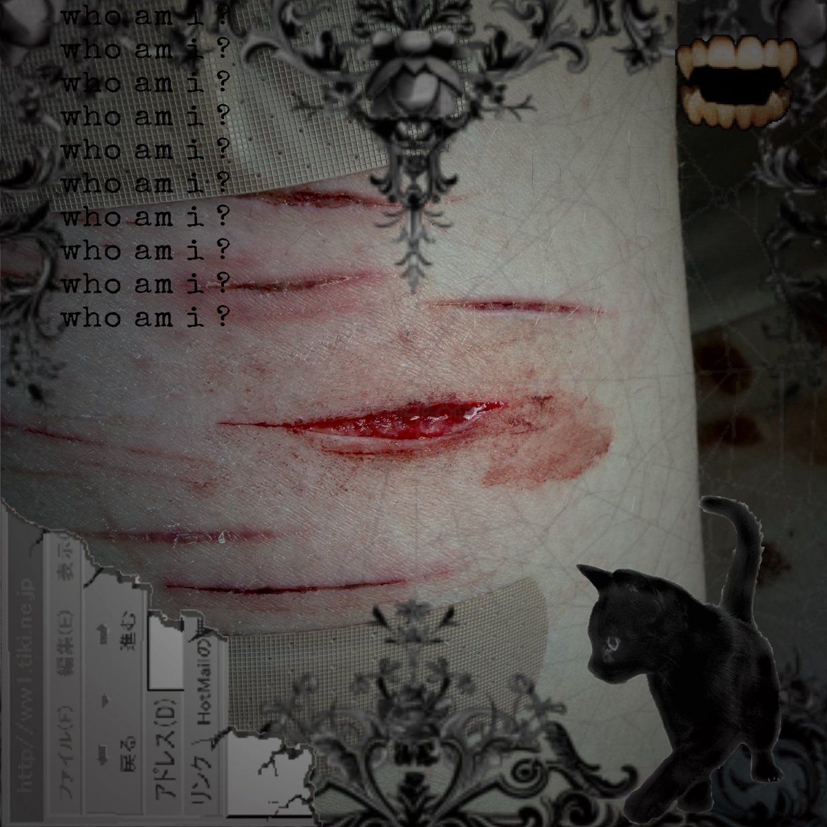 Daisy 击 🦇 tweet media