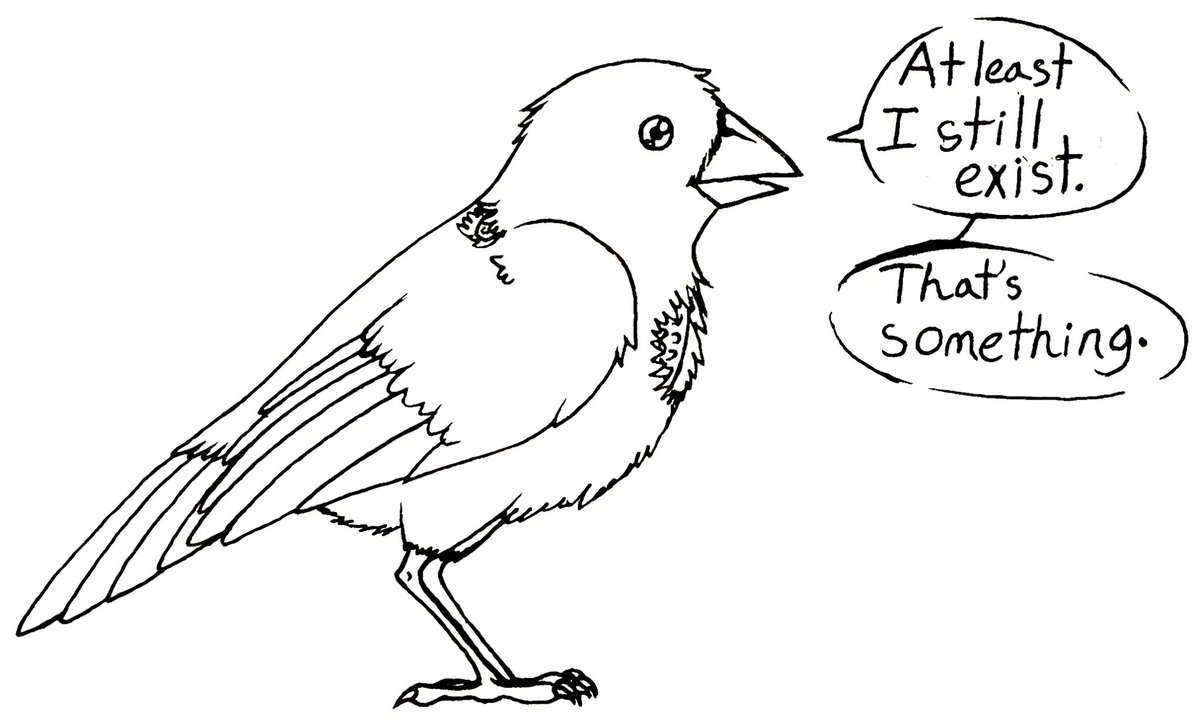 “Back to your regularly scheduled Bird-gram.”