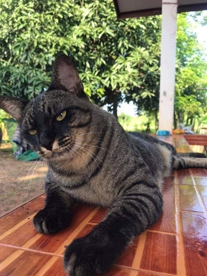 cyrus ๐ฆ tweet media