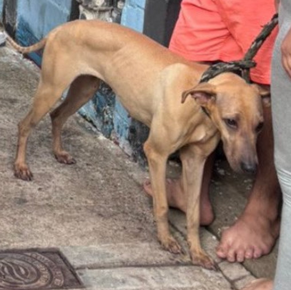 Mónik 💐 tweet media