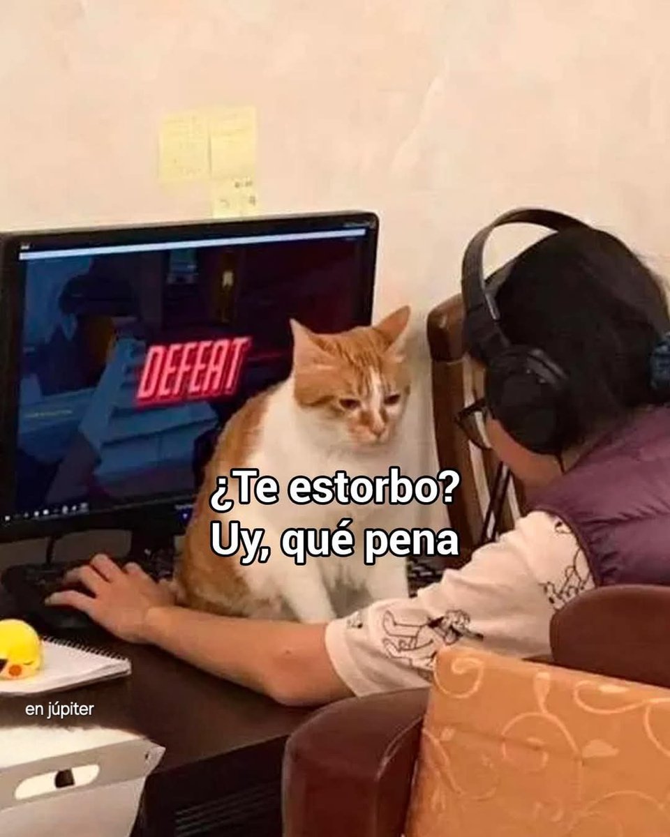 Animalesaprieto's tweet photo. https://t.co/sPm3O0qwXy