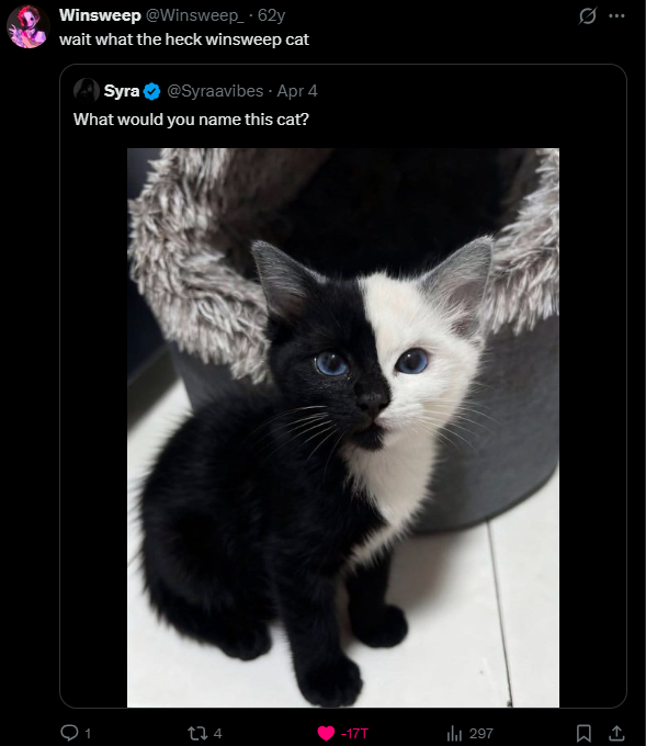 Zyndaquill tweet media