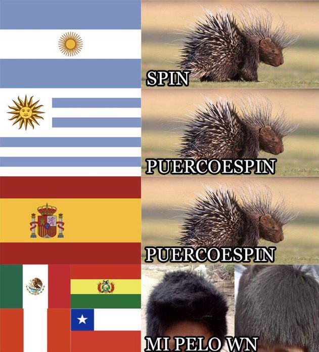 Euroamericano 🇦🇶🇦🇷🇯🇵 tweet media