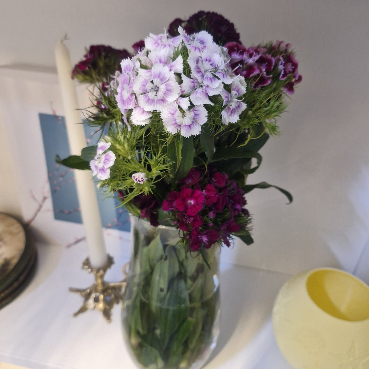 piperiniz's tweet photo. Pazar çiçekleri 🌸 https://t.co/bhznS00d3j