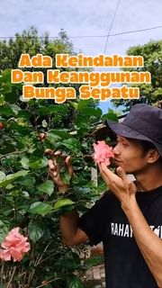 Bukit Farming tweet media