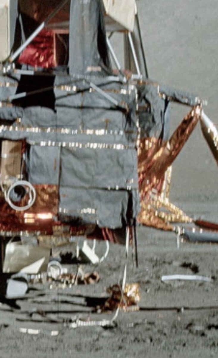 Michael Mile tweet media