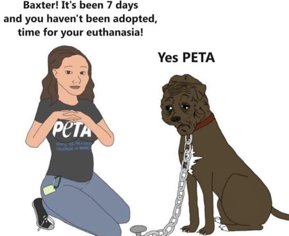 dannjelen's tweet photo. @peta https://t.co/IBZiF8zAAW