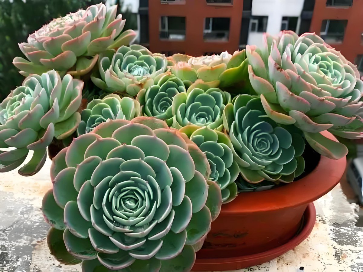 HEERARAM BAYTU tweet media