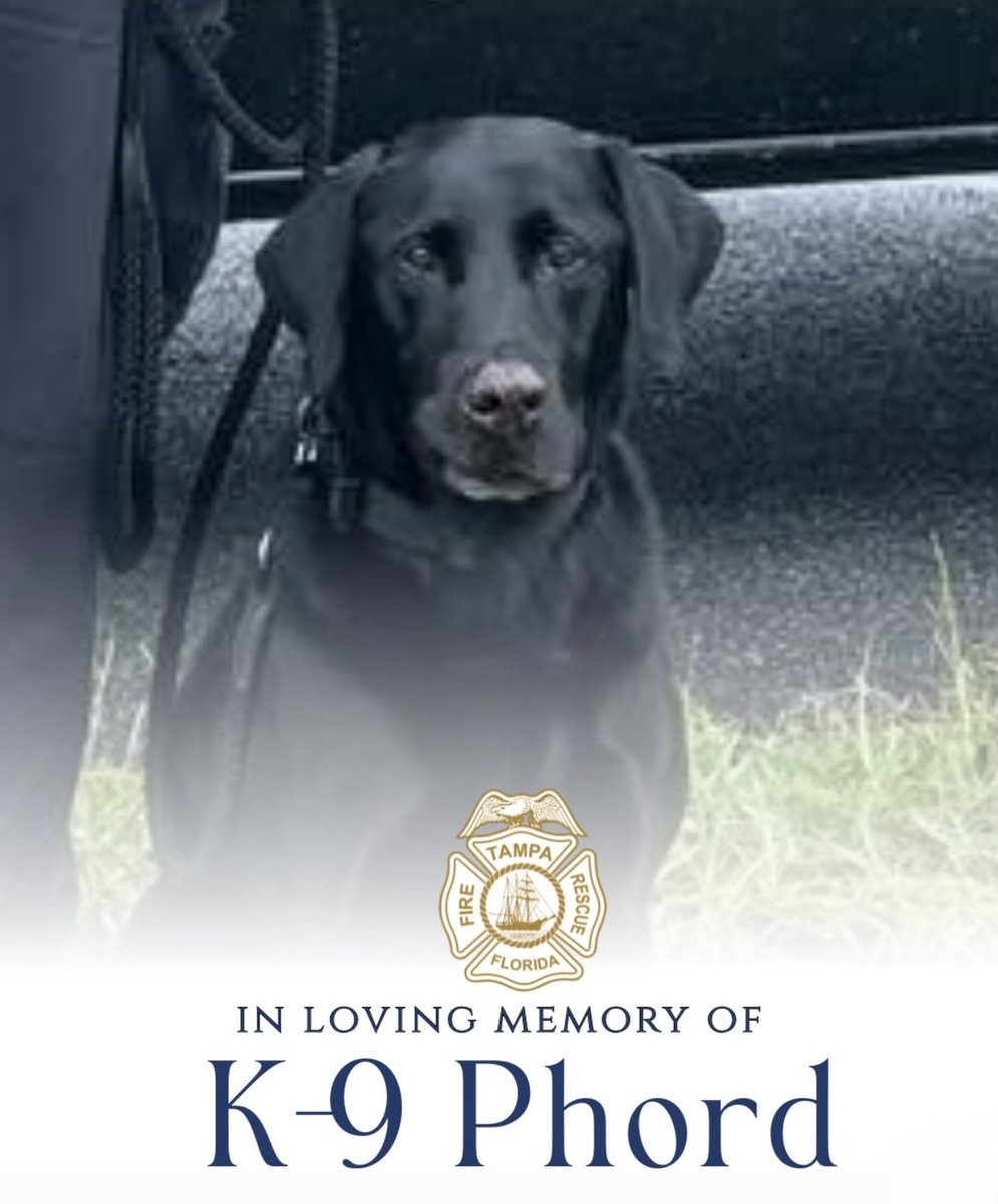 Military Support tweet media