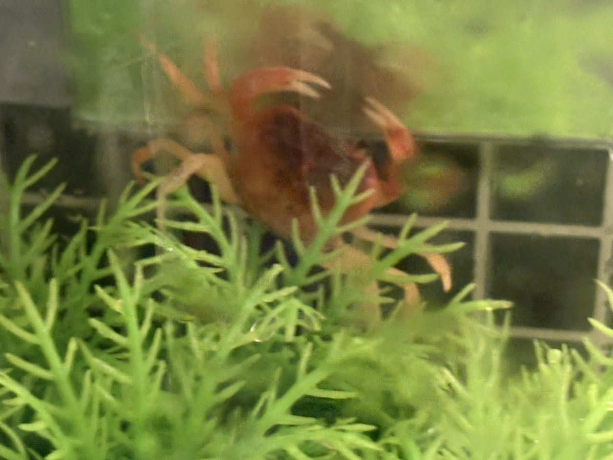 柴山貴哉@プロレスBARロックオンタイム名古屋栄 tweet media