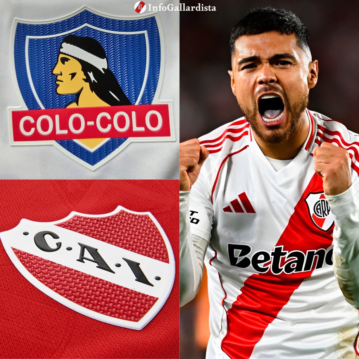 Info Gallardista tweet media