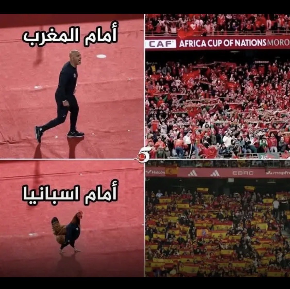 بيان tweet media